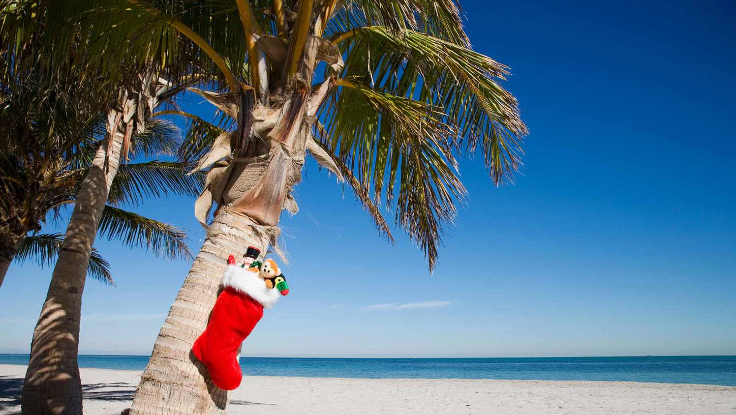 Miami Weather In December