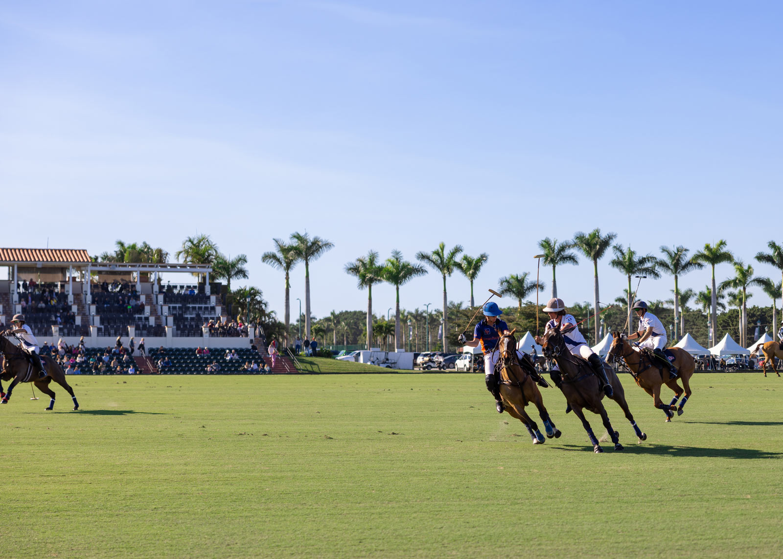 Palm Beach Polo Vip Champagne