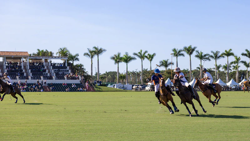 Palm Beach Polo Vip Champagne