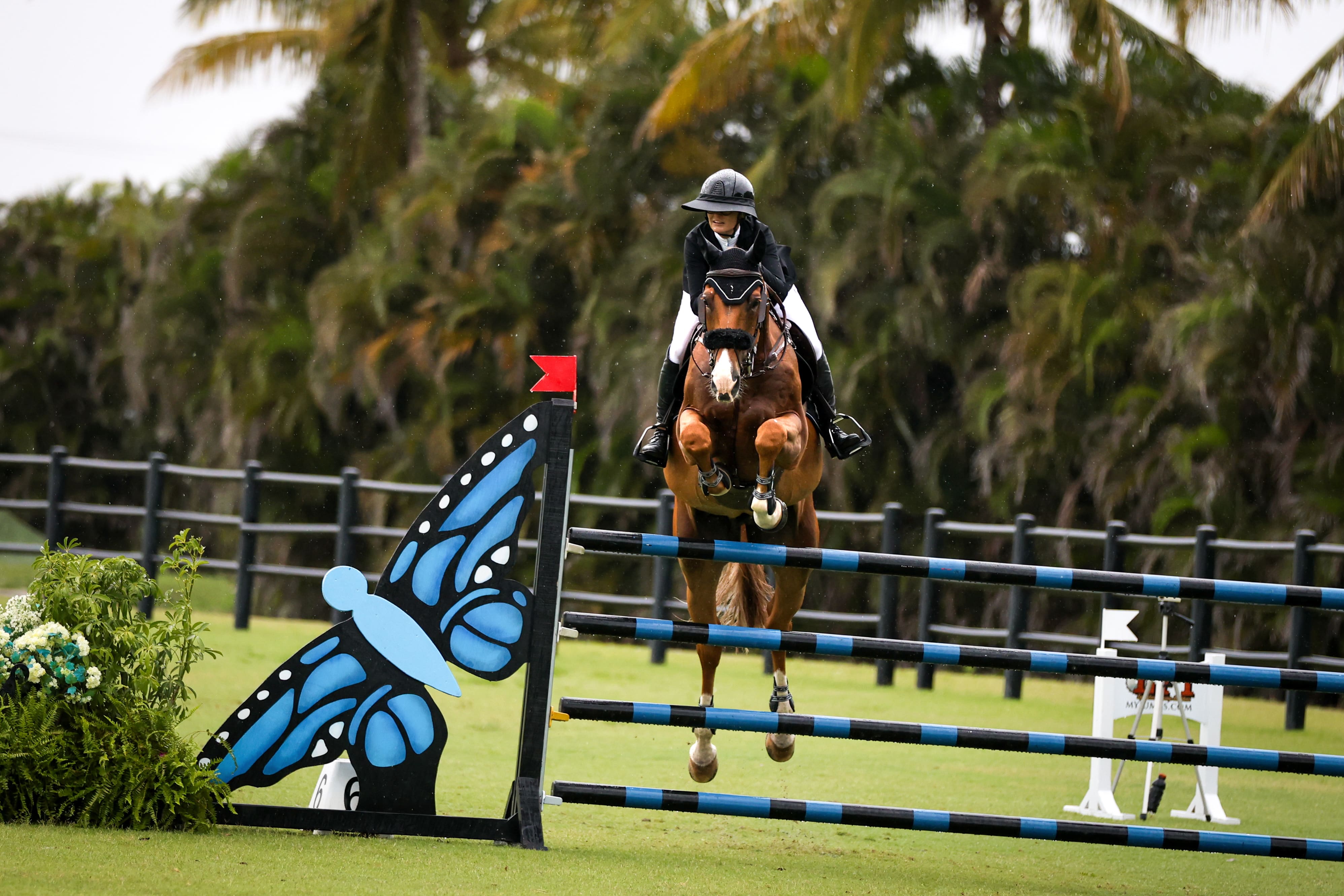 Wellington Wef Grand Prix Vip