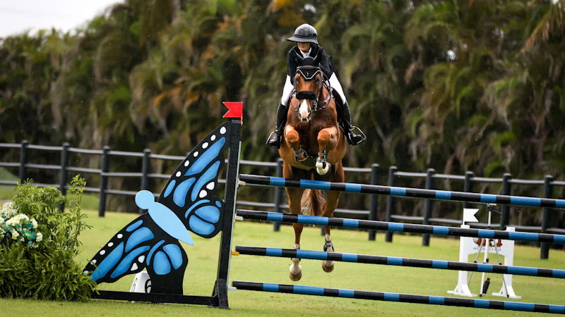 Wellington Wef Grand Prix Vip