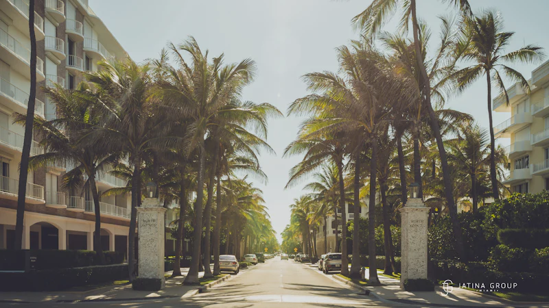 Royal Poinciana Palm Beach