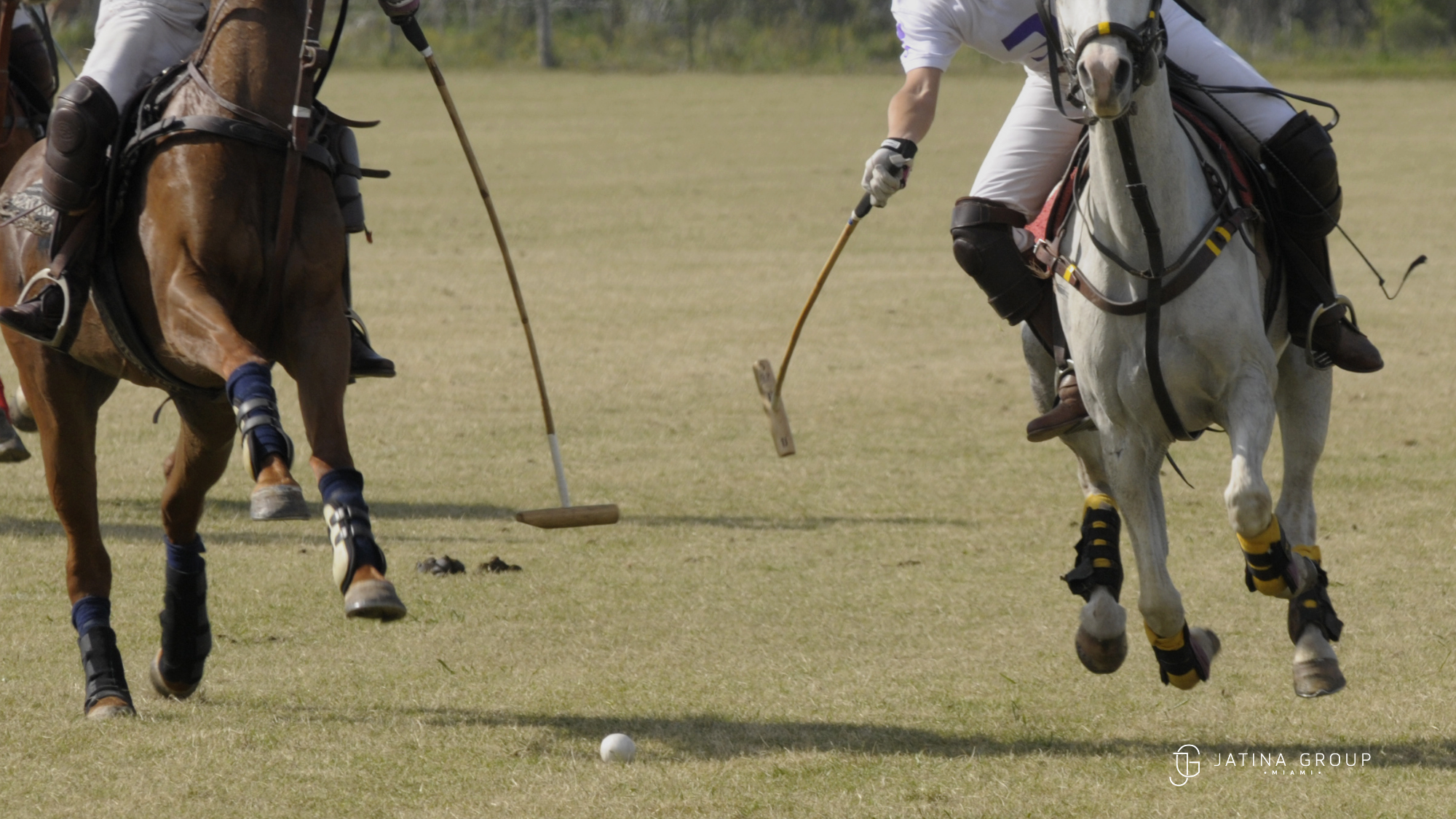 Palm Beach Polo Vip Champagne