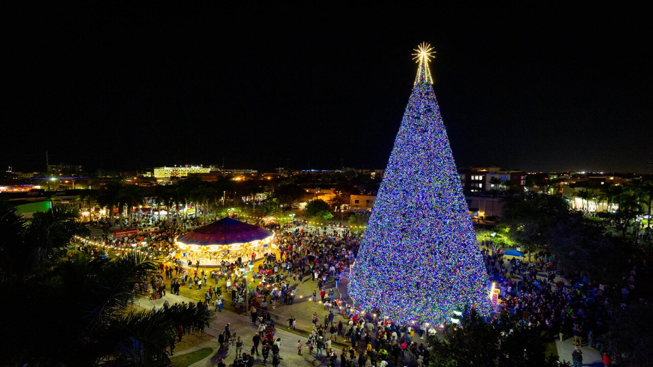 Delray Beach 100 Foot Tree