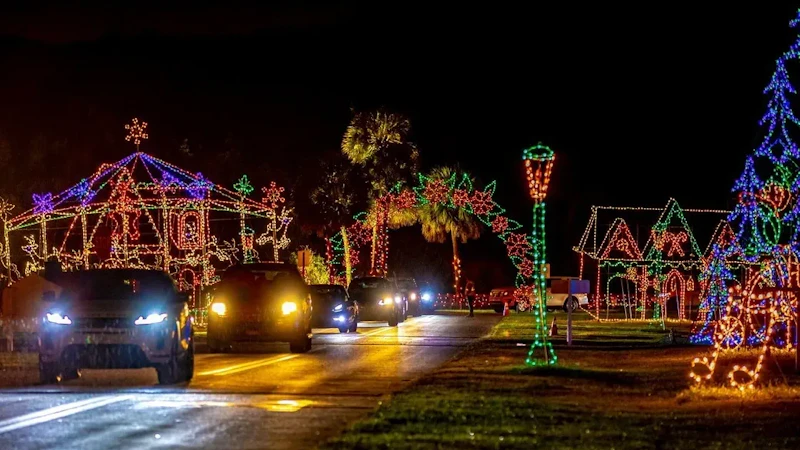 Holiday Fantasy Lights Coconut Creek