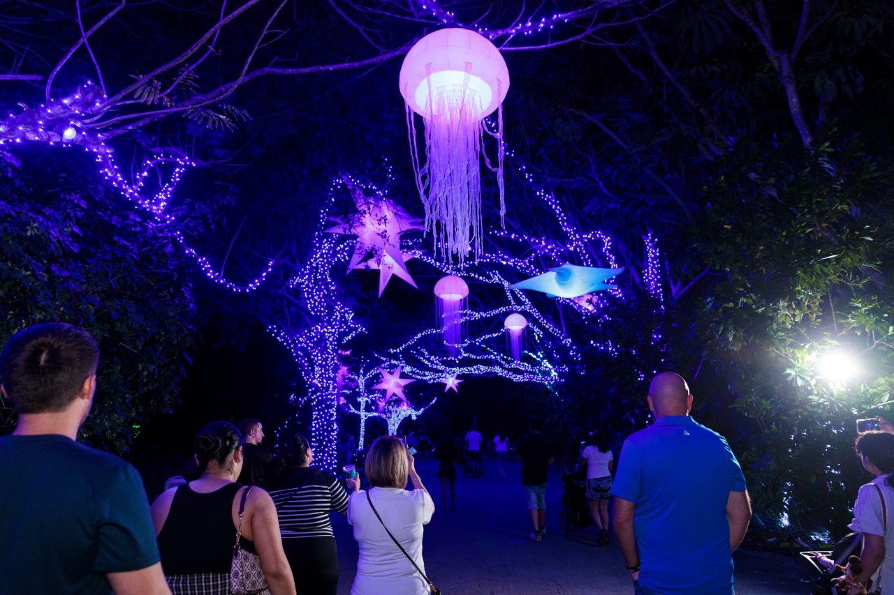 Zoo Lights Miami Christmas