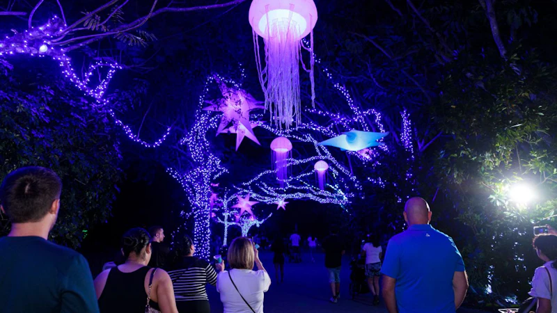 Zoo Lights Miami Christmas