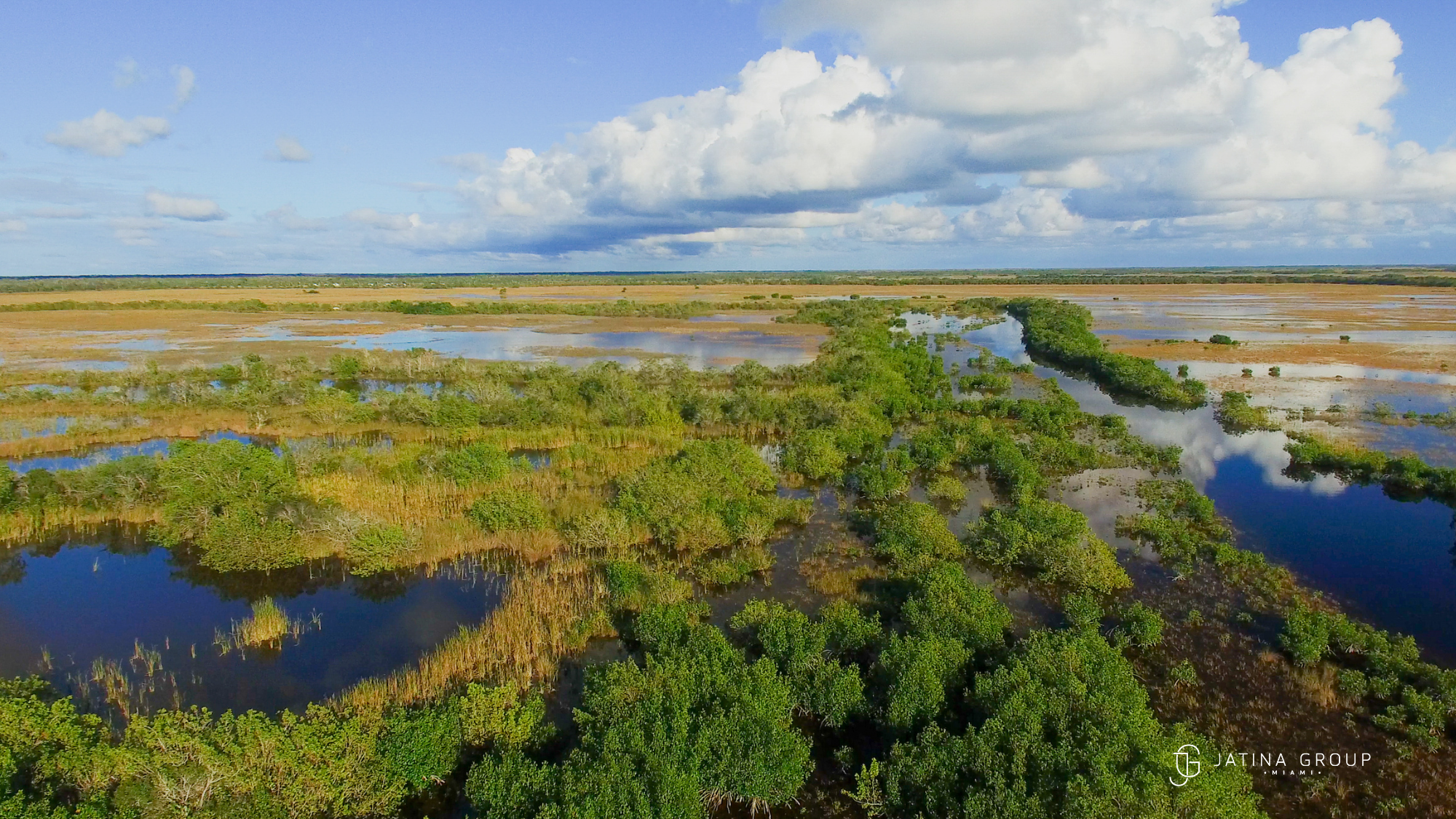 Discovering The Natural Beauty Of The Everglades