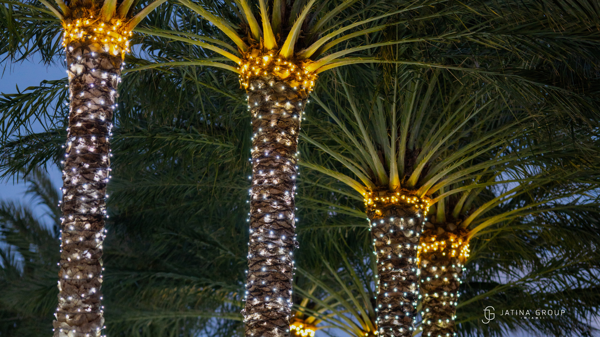 Miami Holiday Lights Beach Walk