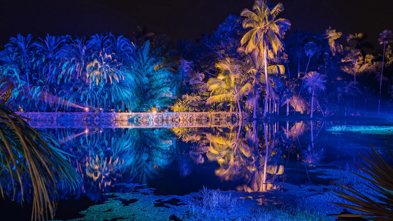 Fairchild Nightgarden Miami Holiday Lights
