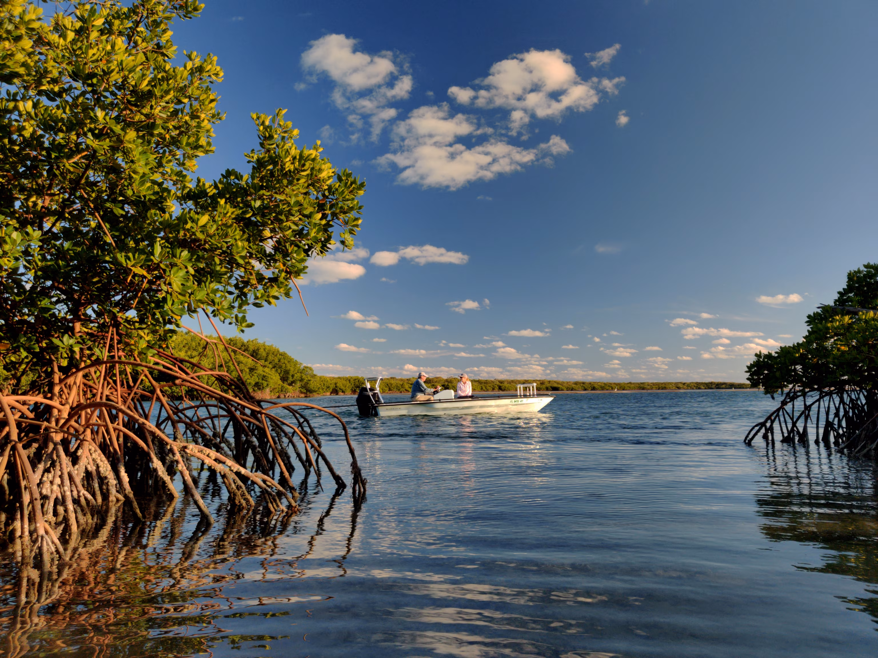 Biscayne Bay Eco Tour