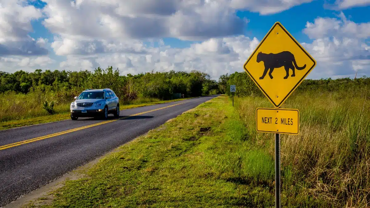 Loop Road Scenic Drive Florida